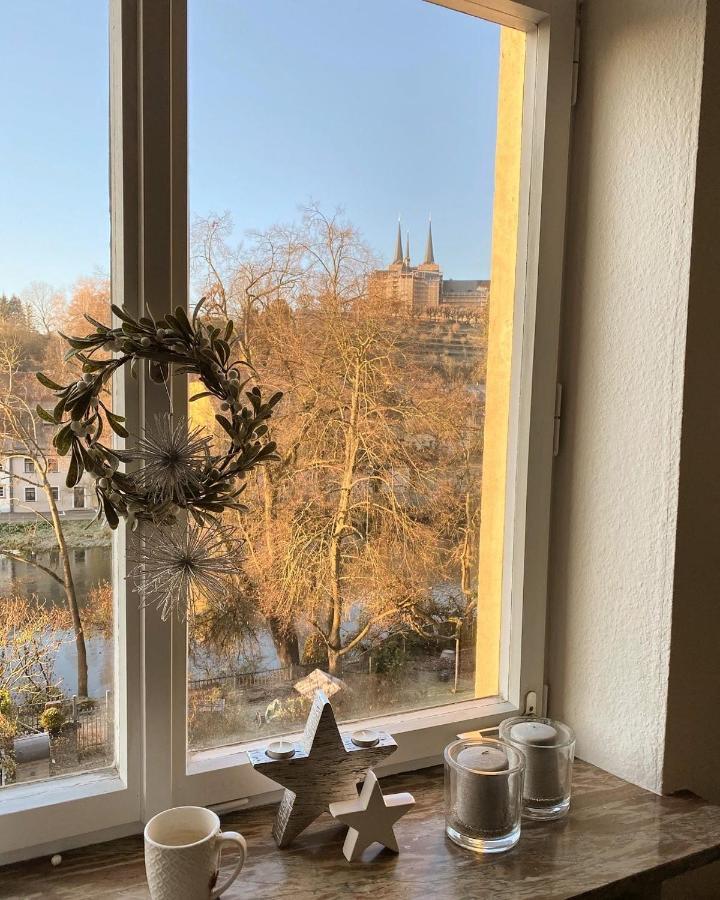 באמברג Ferienwohnung Dom- U. Regnitzblick מראה חיצוני תמונה
